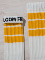 【FRUIT OF THE LOOM 】4足SETラインハイソックス