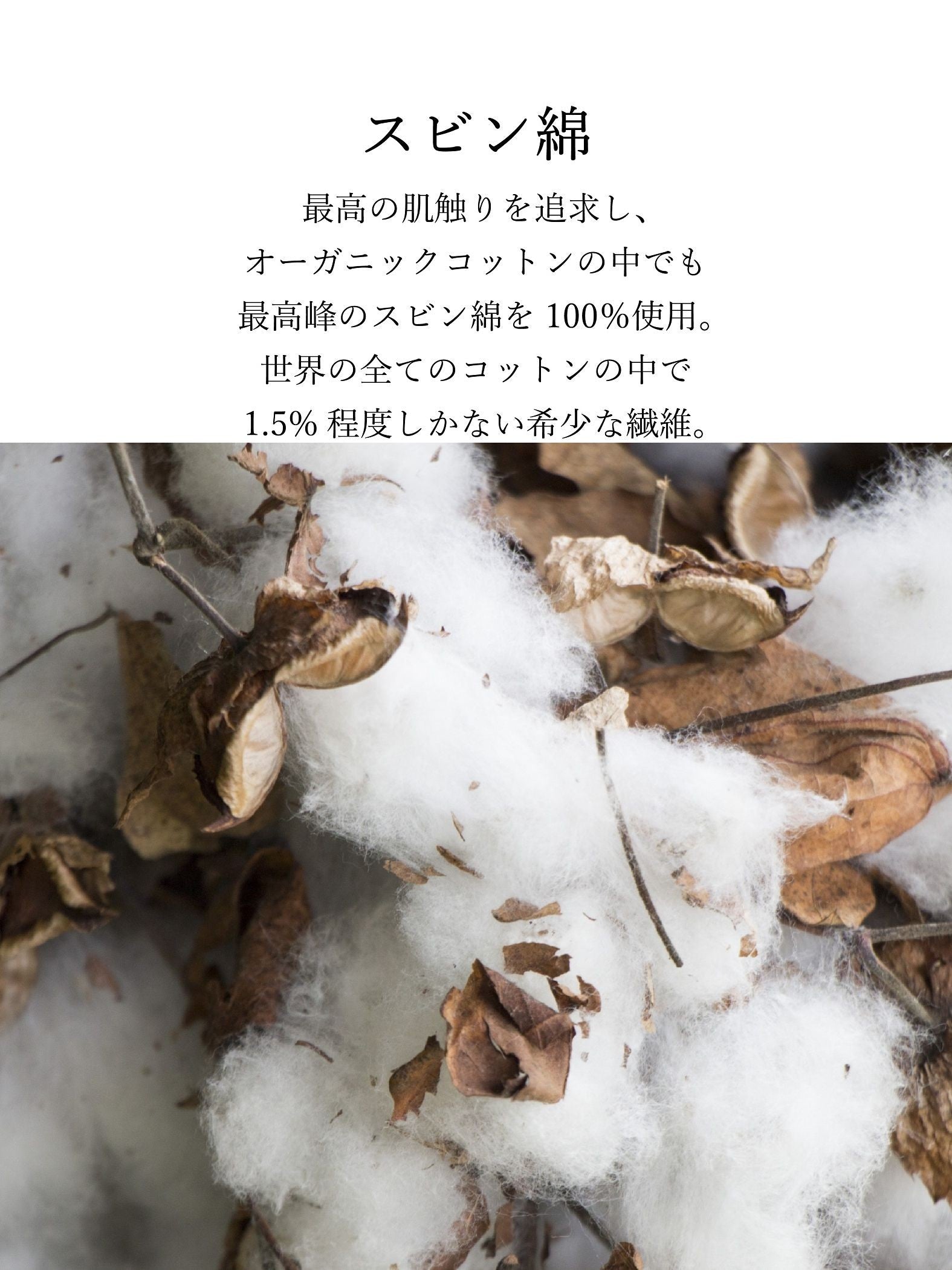 とろけるような至福の肌心地 HEAVENLY COTTON Baba shirt ≪手洗い可能/サスティナブル素材使用≫