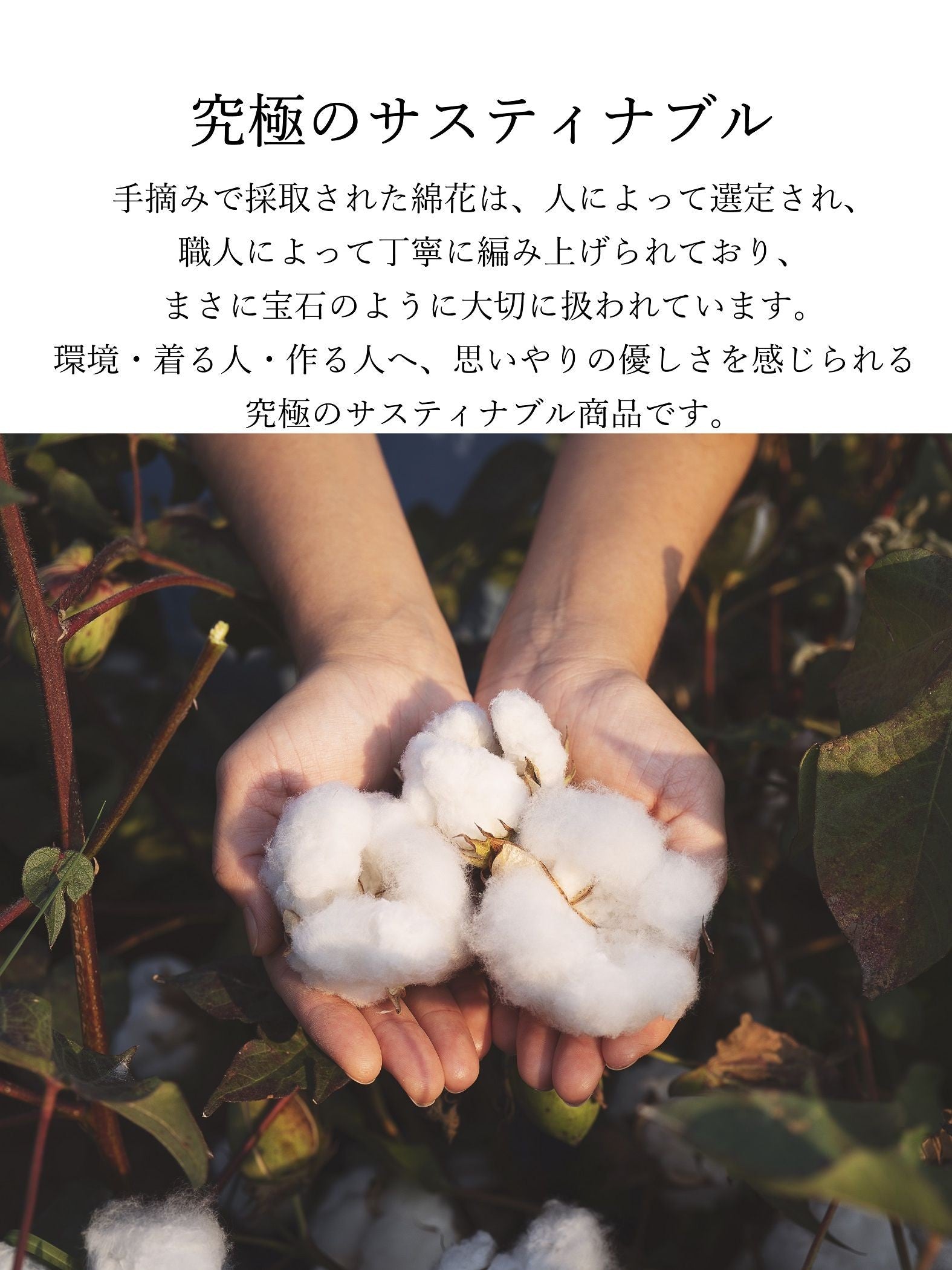 とろけるような至福の肌心地 HEAVENLY COTTON Working skirt ≪手洗い可能/サスティナブル素材使用≫
