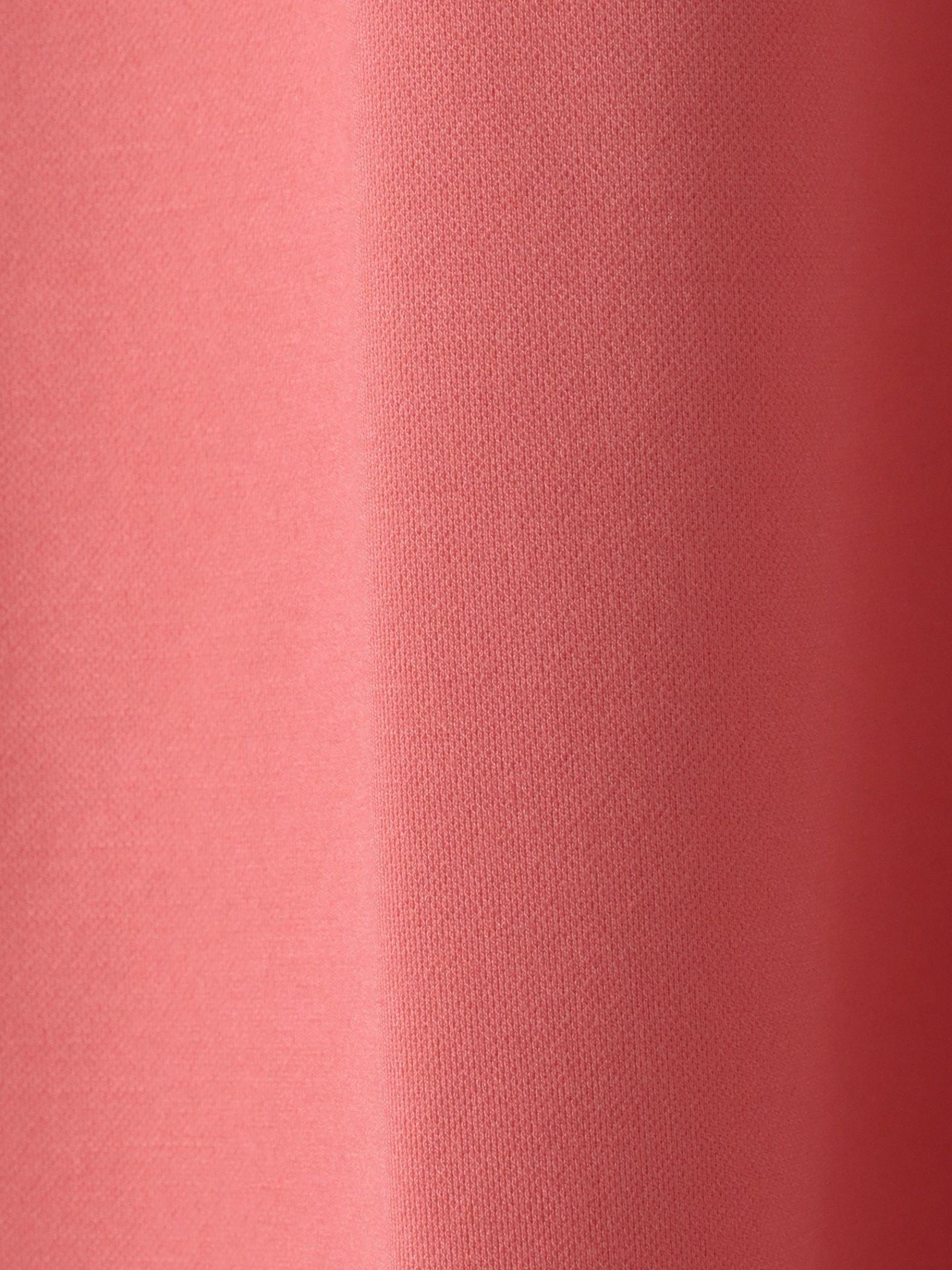 【大きいサイズ】パーフェクトベアスムースカットソー