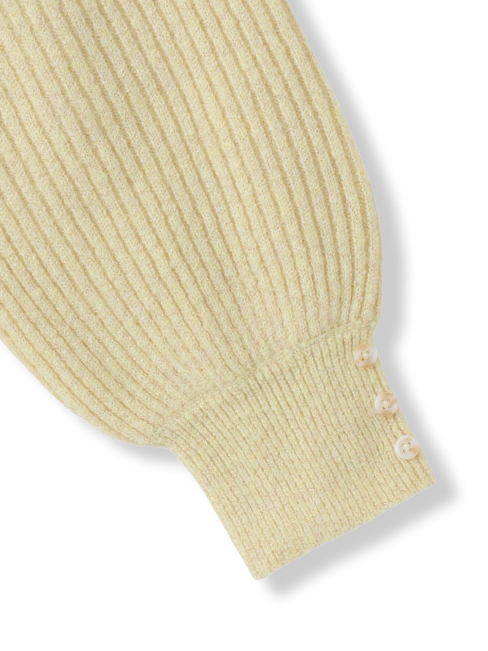 ラメリブボトルネックニット≪手洗い可能≫