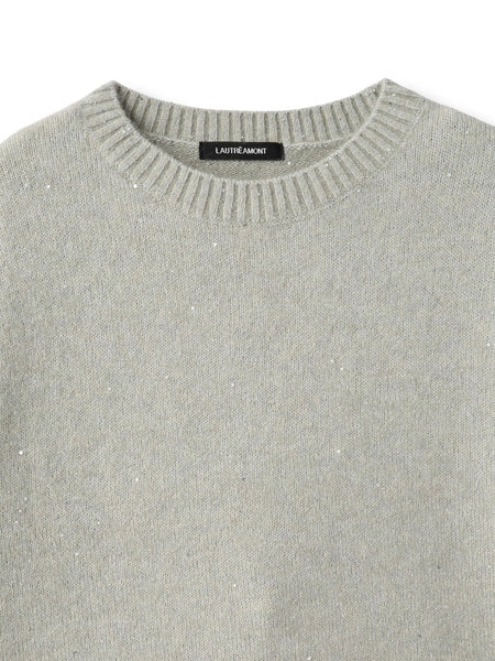 スパンコールクルーネックニット≪洗える≫