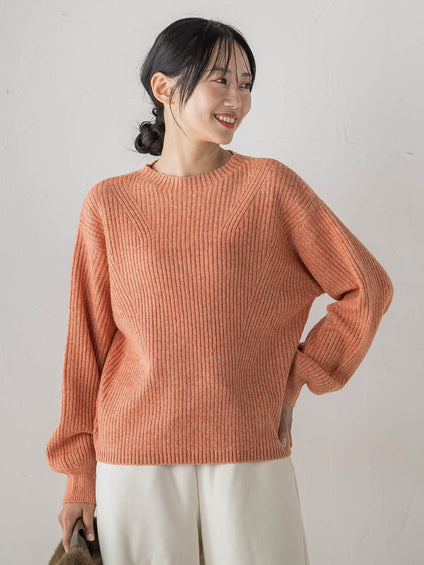 【WEB限定カラーあり】ラメボトルネックプルオーバー≪手洗い可能≫