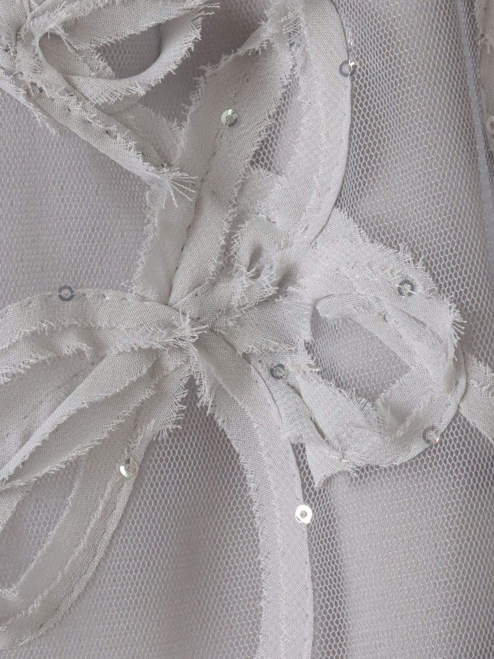 スパンコールテープチュールブラウス