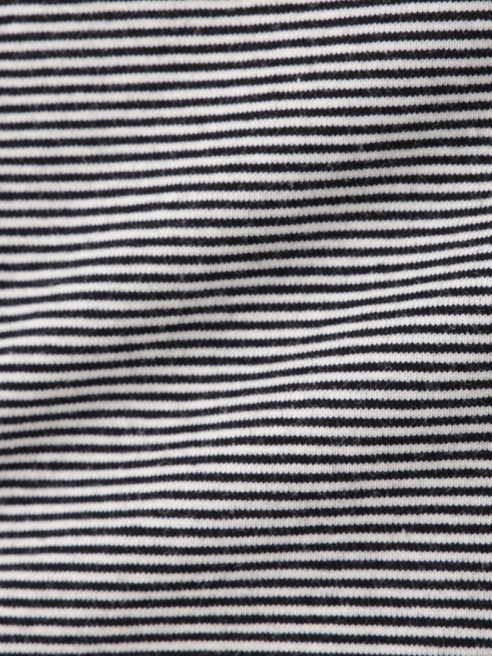 ナローボーダーステートメントTシャツ