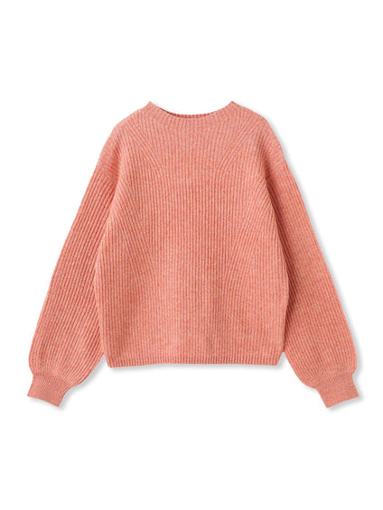 【WEB限定カラーあり】ラメボトルネックプルオーバー≪手洗い可能≫