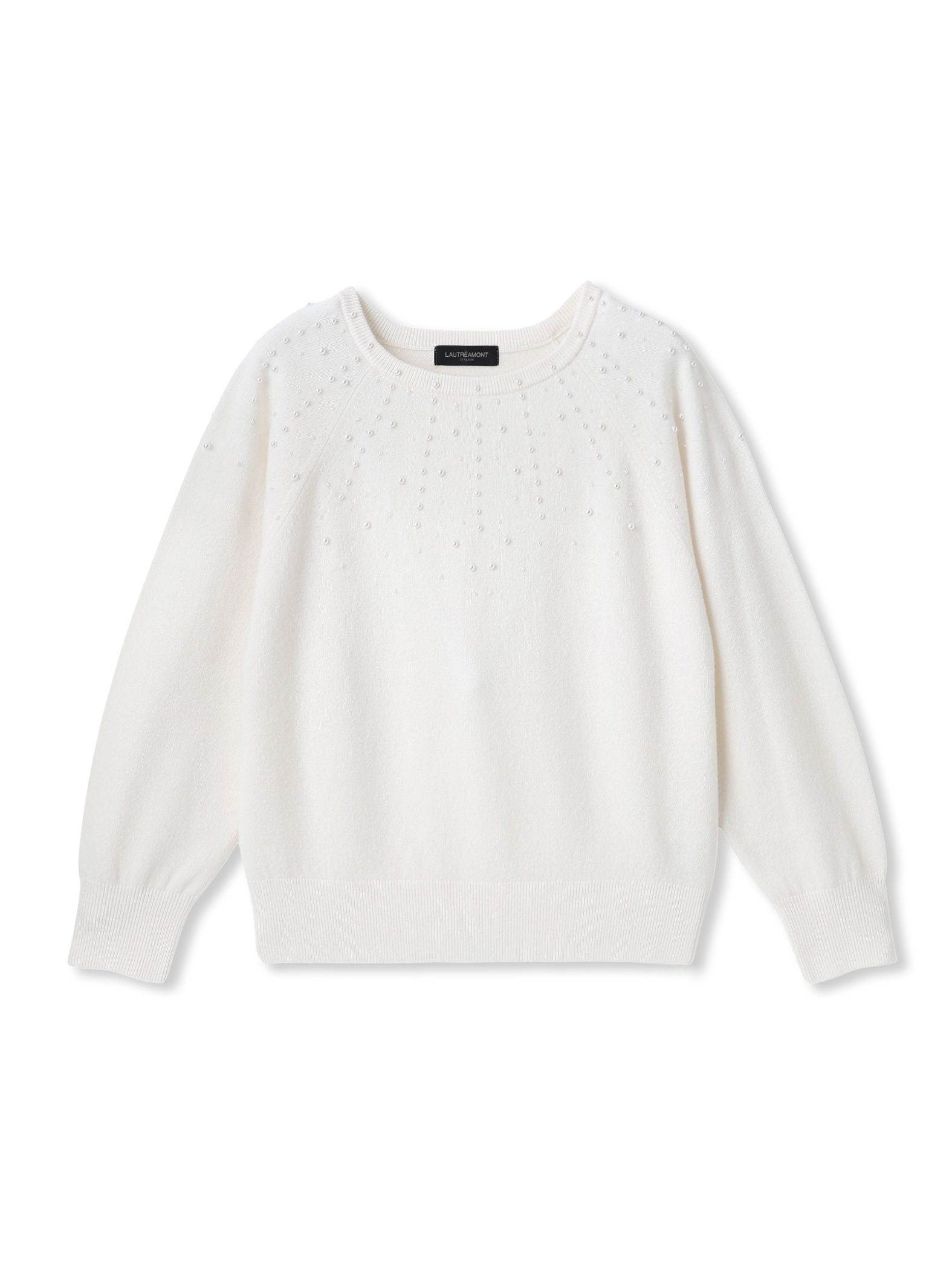 パール刺繍ニットプルオーバー