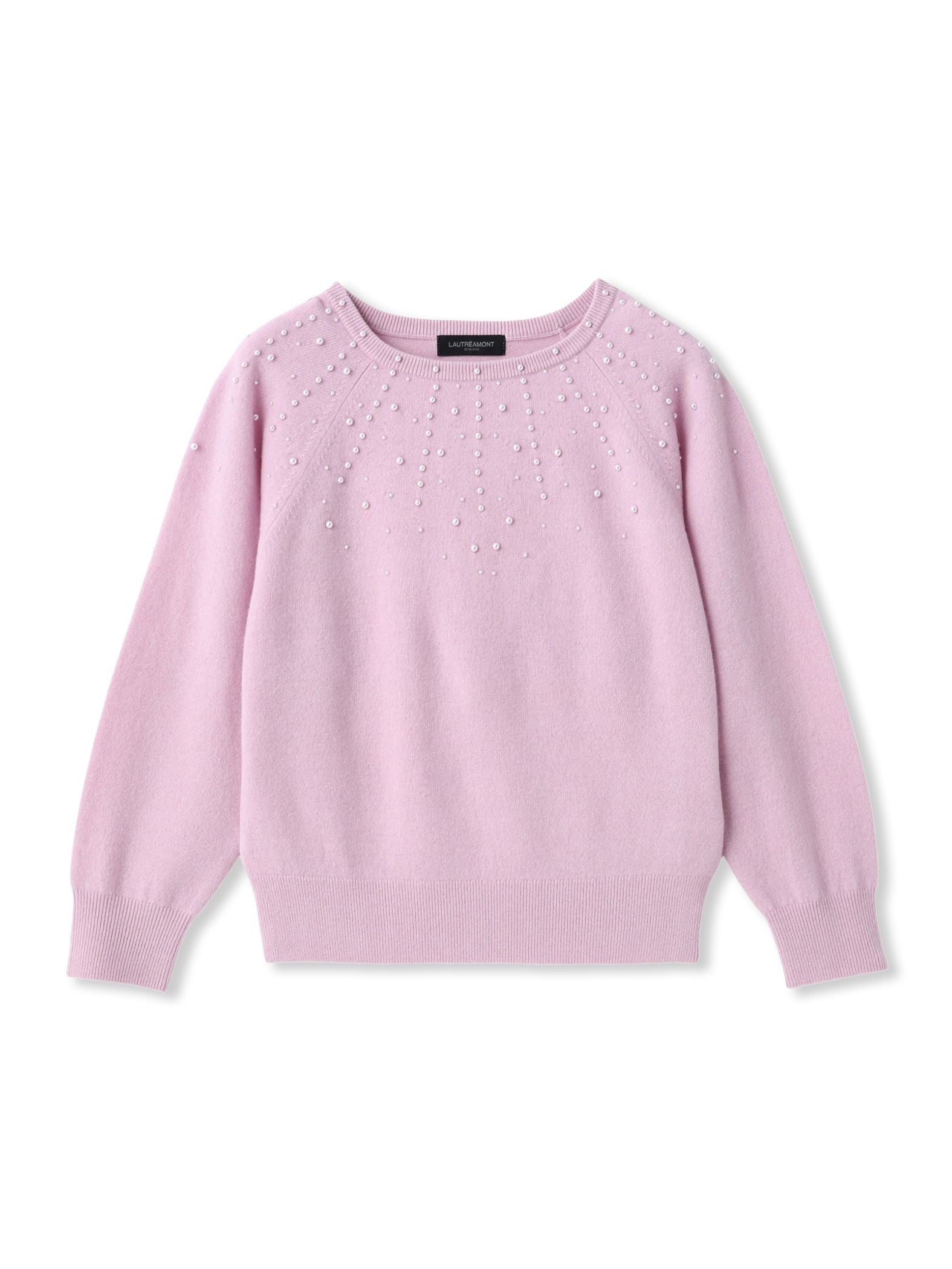 パール刺繍ニットプルオーバー