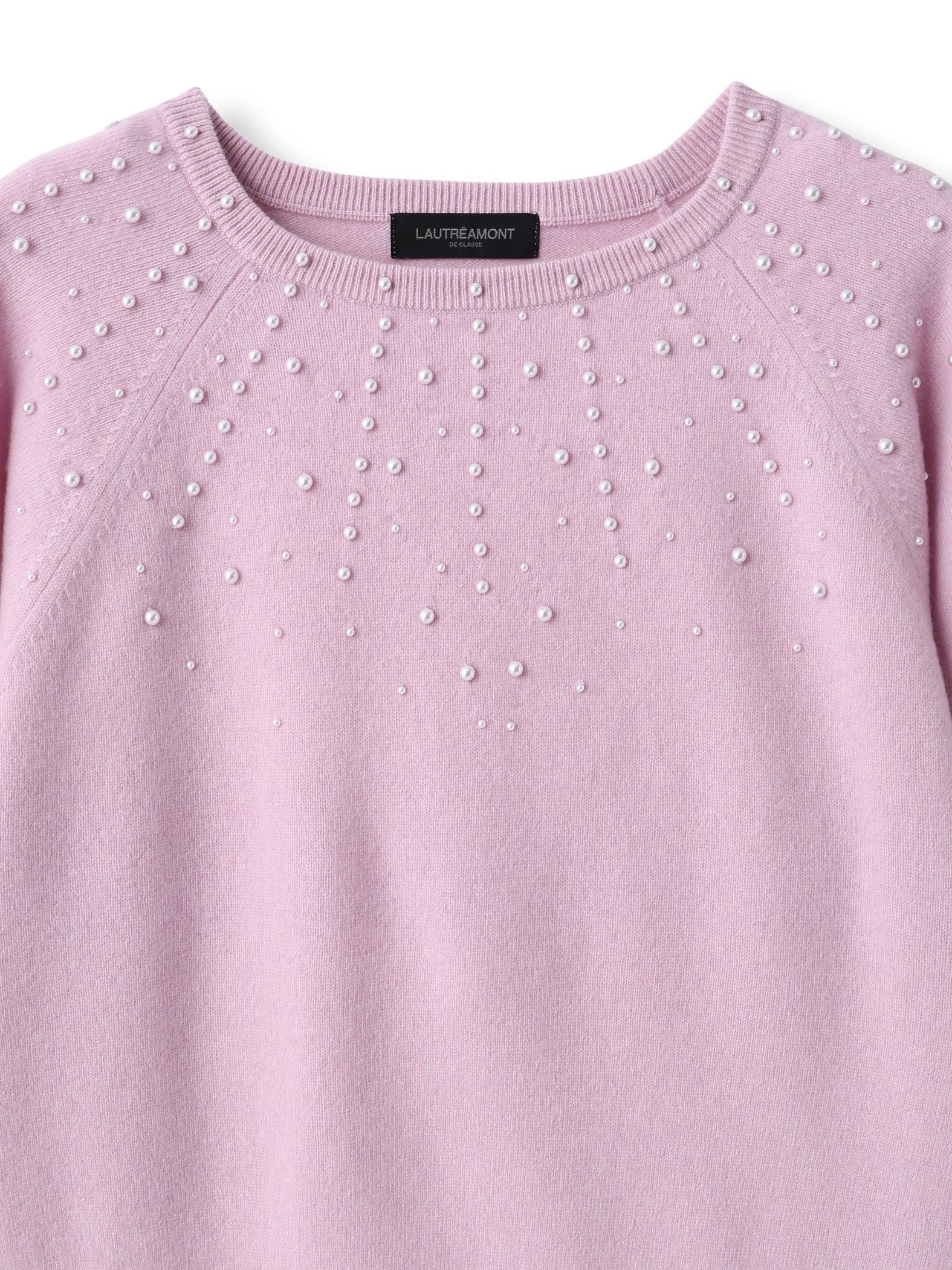 パール刺繍ニットプルオーバー