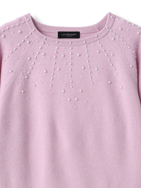パール刺繍ニットプルオーバー