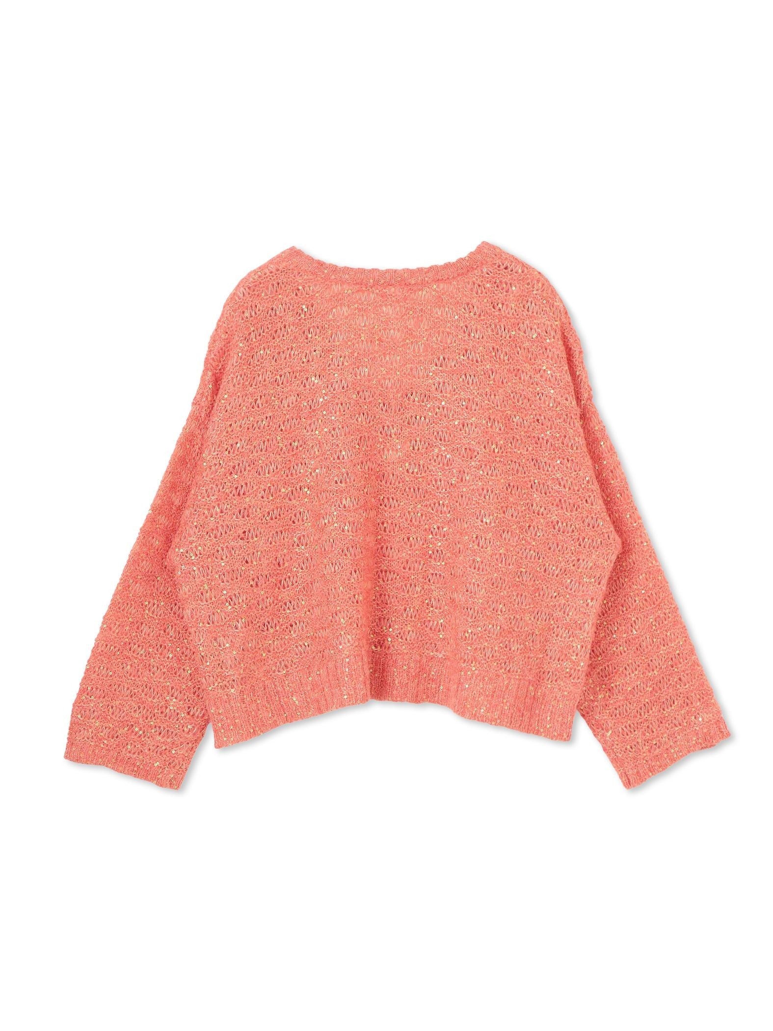 【WEB限定】スパンコールシャギーニットプルオーバー≪手洗い可能≫