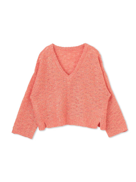 【WEB限定】スパンコールシャギーニットプルオーバー≪手洗い可能≫