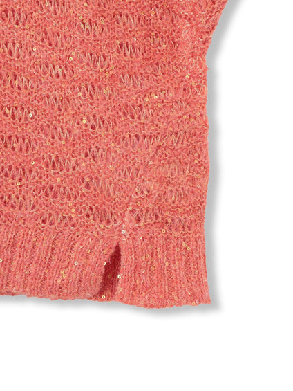 【WEB限定】スパンコールシャギーニットプルオーバー≪手洗い可能≫