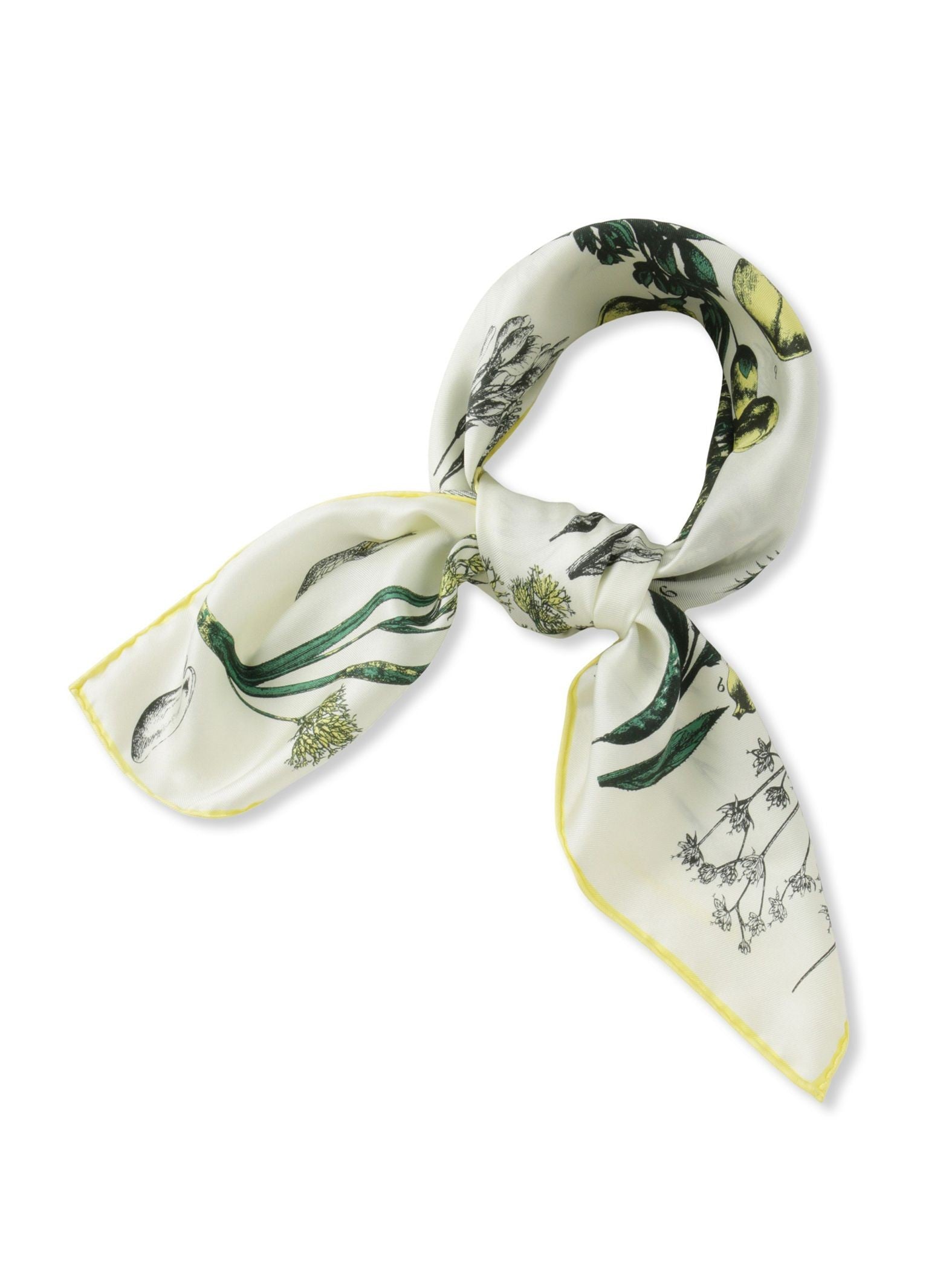【WEB限定】【manipuri】シルクスカーフ65