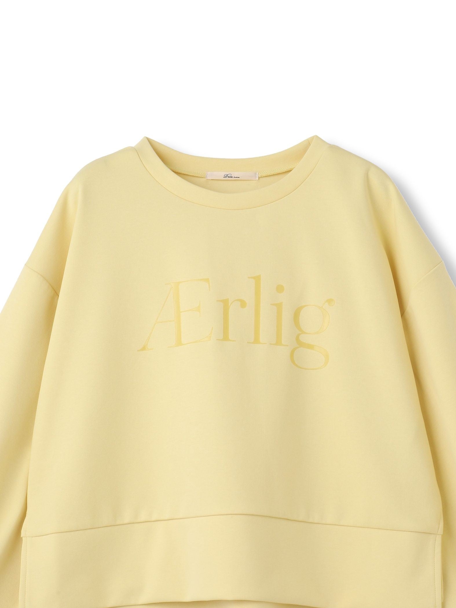 【WEB限定】クリアロゴプリントプルオーバー≪洗濯機で洗える≫