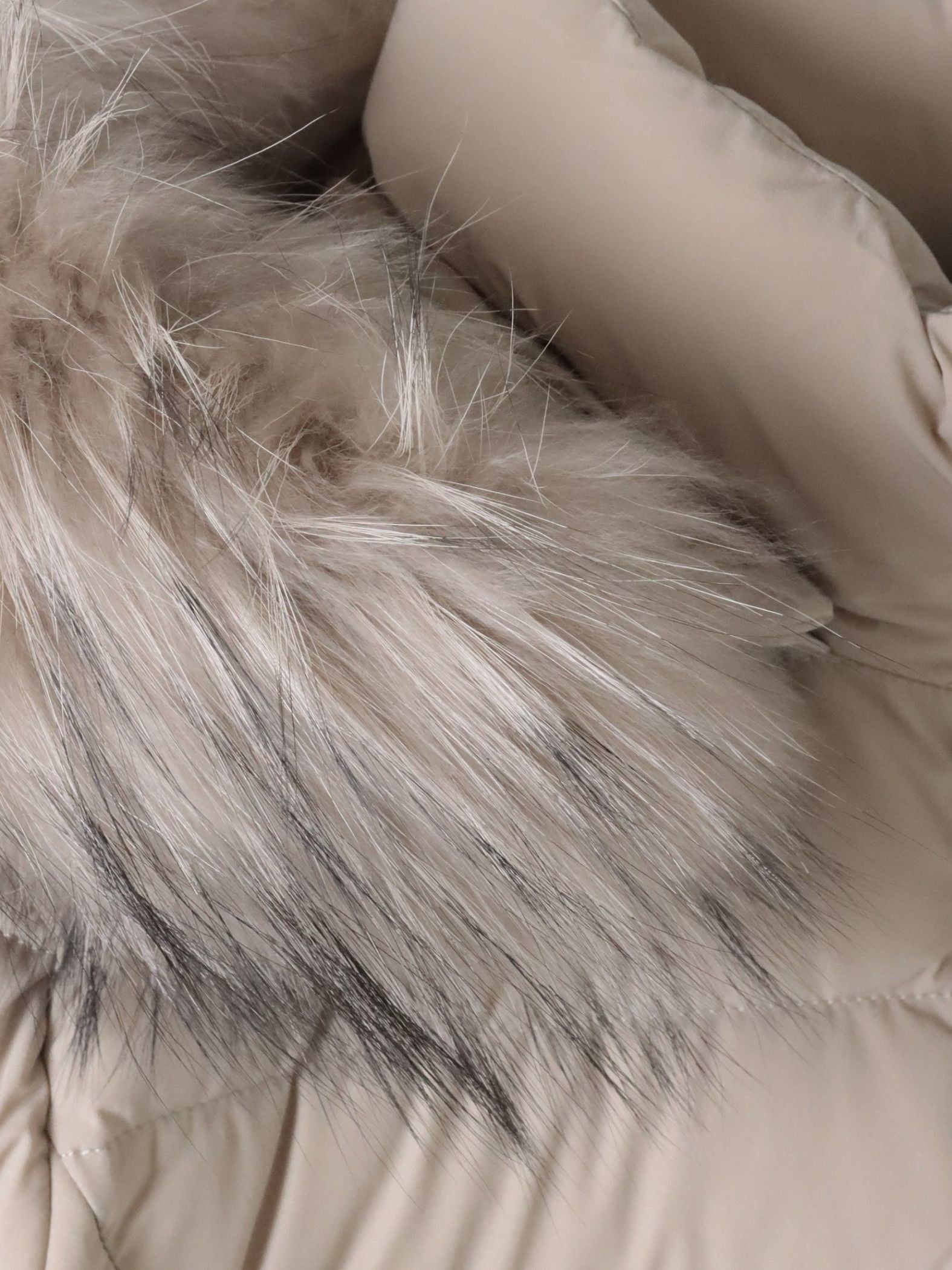 【CAPE HORN】SALTA MURMASKY