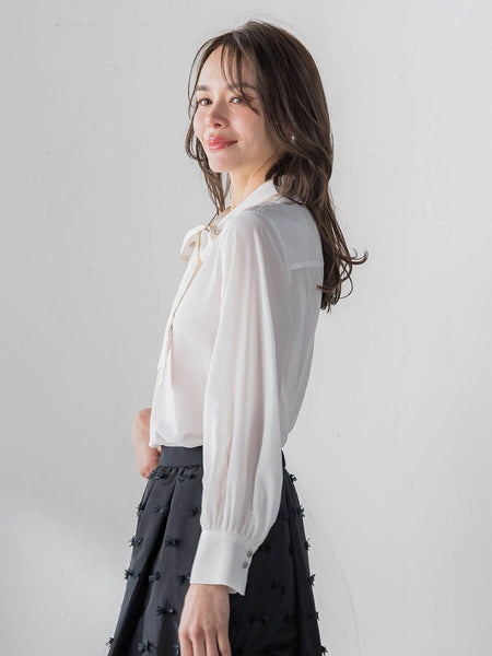 フェミニッシュデシンブラウス