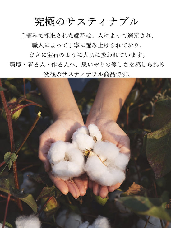 とろけるような至福の肌心地 HEAVENLY COTTON ハイネックカットソー ≪手洗い可能≫