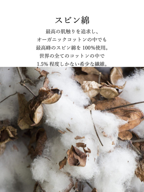 とろけるような至福の肌心地 HEAVENLY COTTON ハイネックカットソー ≪手洗い可能≫